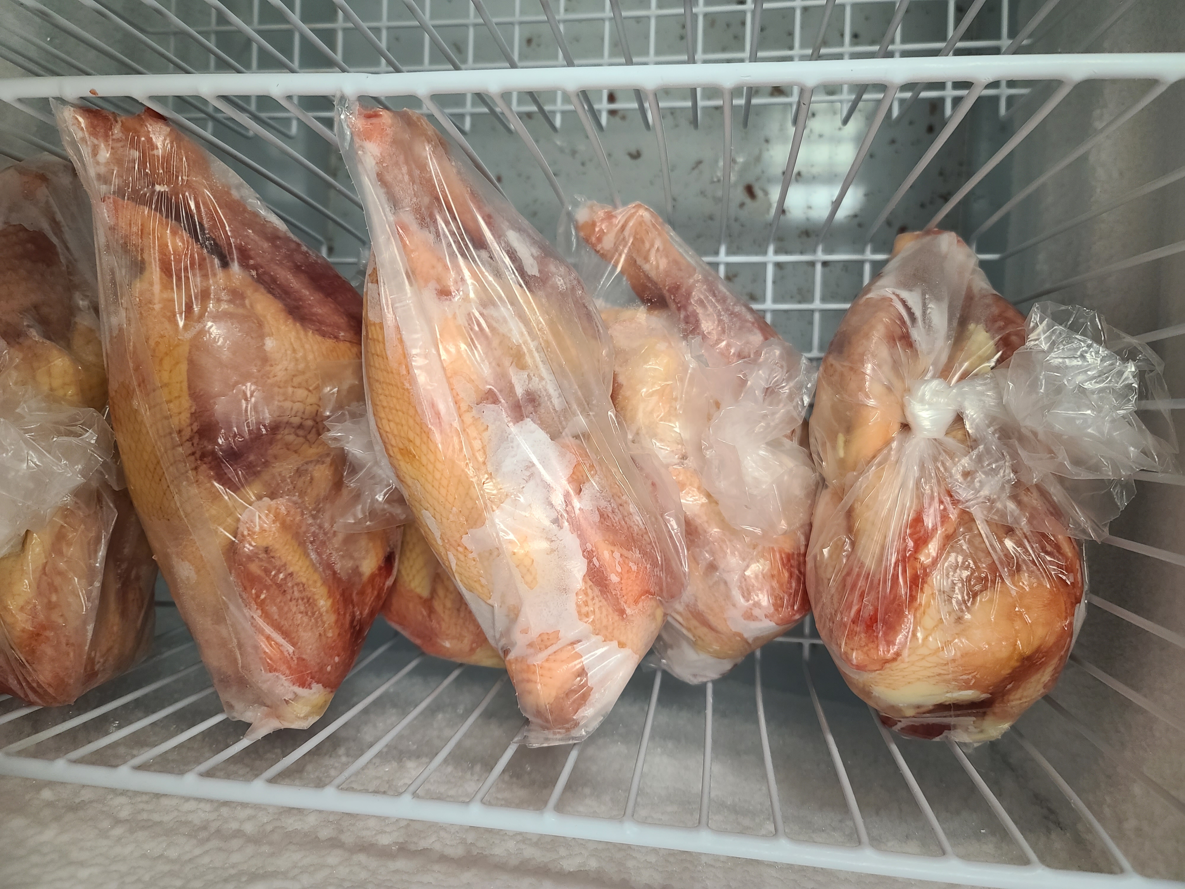 Whole organic Frozen chicken
