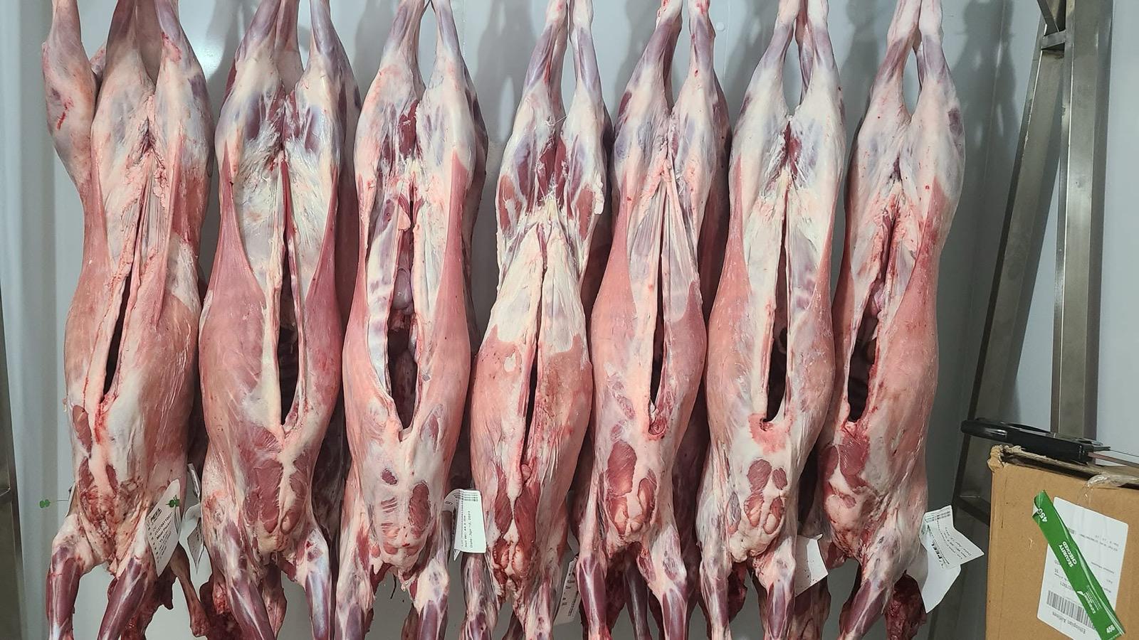 Full Lamb