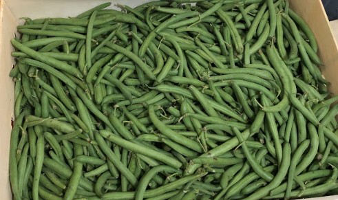 Green Beans