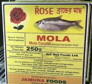 Rose Mola Frozen 250g